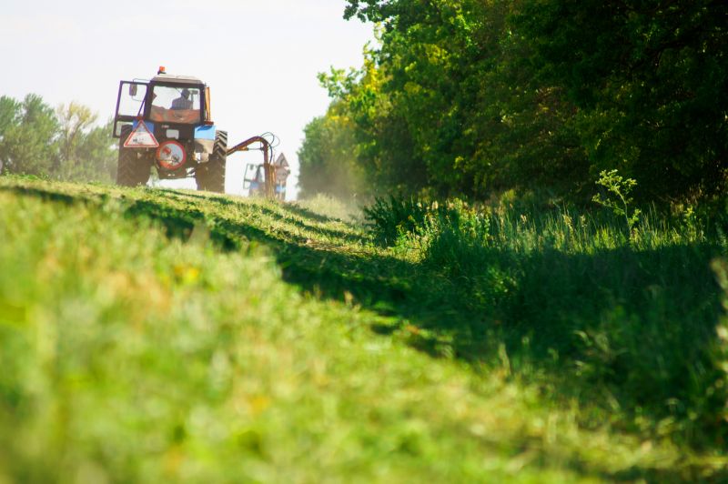 Brush Clearing Service in Marietta, GA