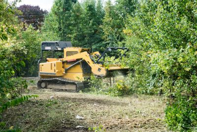 Lake Lot Clearing in Utah County, UT