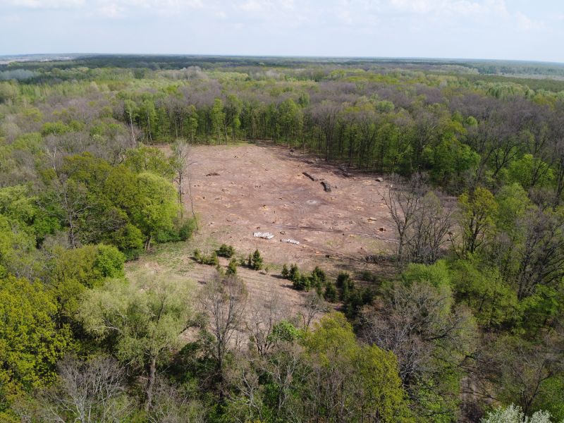 Land Clearing Process