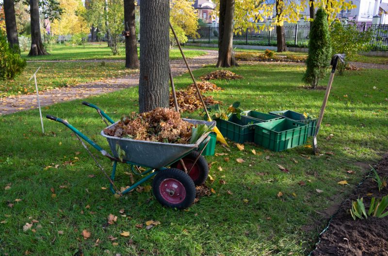 Land Clearing in Atlanta, GA