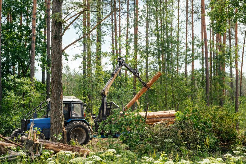 Tree Logging Service