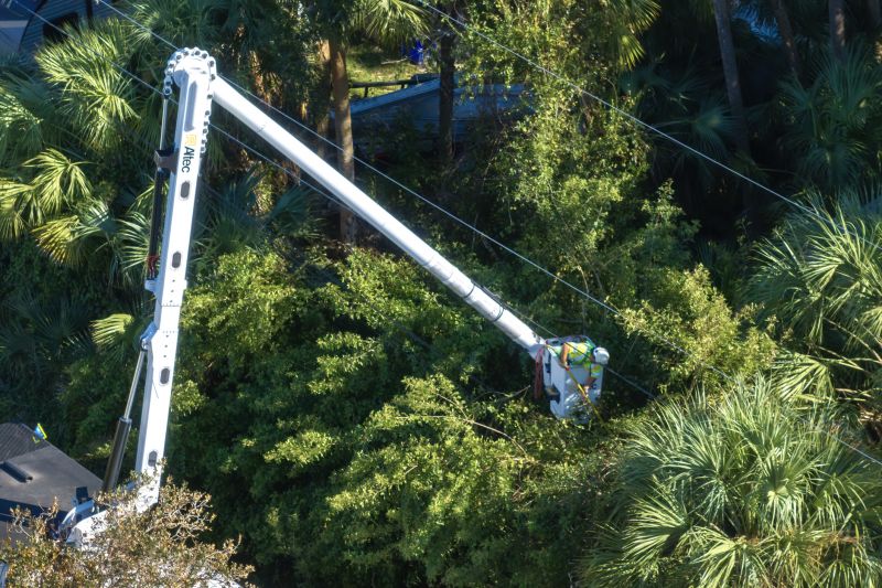 Tree Logging Service