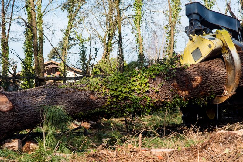 Tree Logging Service
